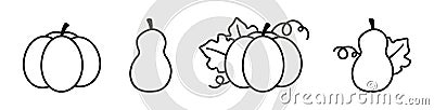 Set of outline illustration of pumpkin and squash for Halloween or Thanksgiving kids coloring pages. Vector Illustration